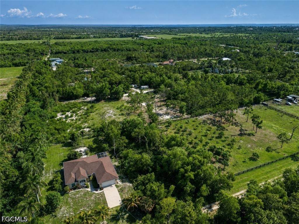 6207 Hodges Drive - Photo 1