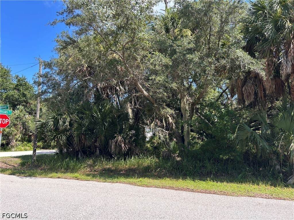 26156 Hapsburg Road - Photo 1