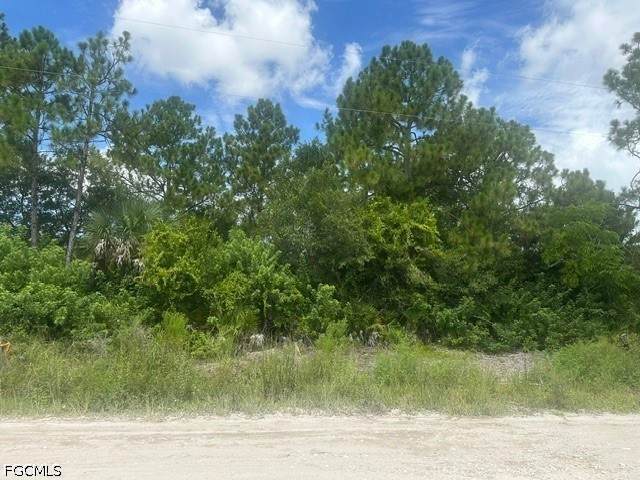 11810 Shawnee Road - Photo 1