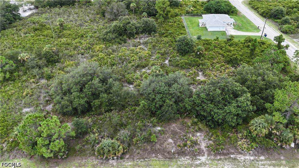 1321 Hibiscus Avenue - Photo 1