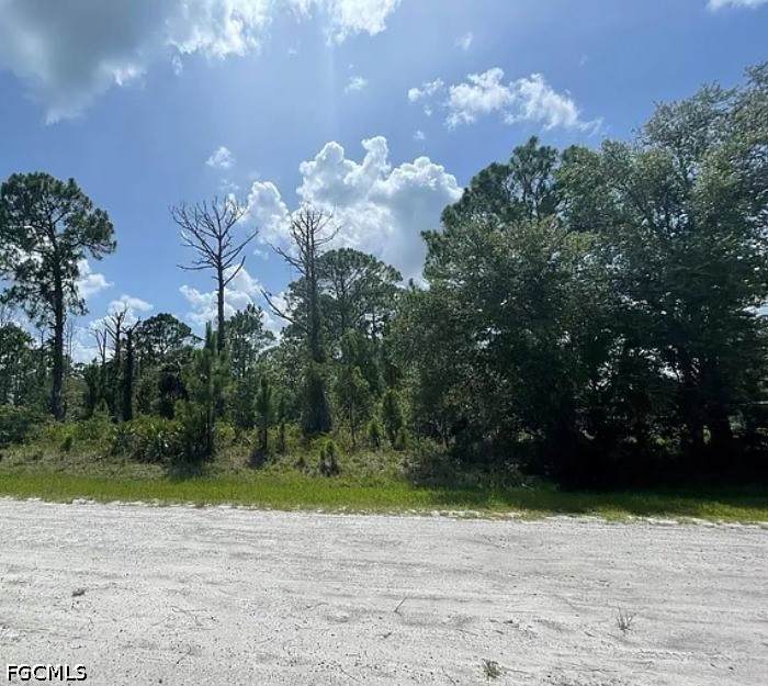 320 Kennel Street - Photo 1