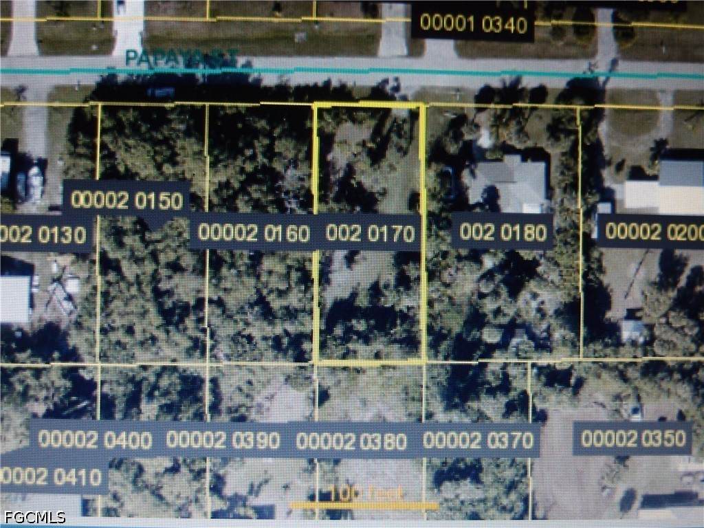 3615 Papaya Street - Photo 1