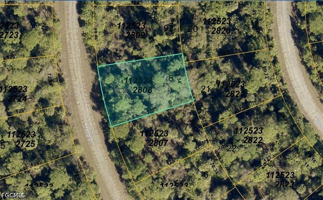 1125232808 Breadnut Street - Photo 1