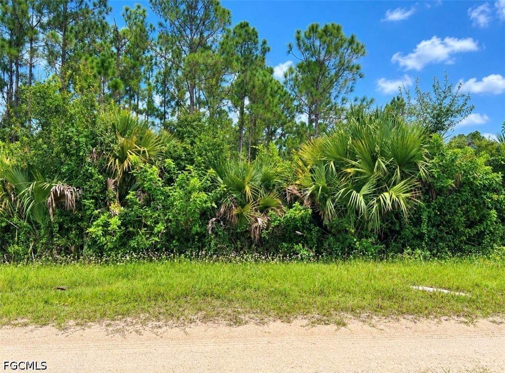28117 Monte Cristo Drive - Photo 1