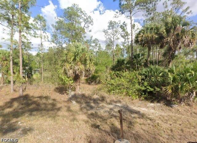 812 Sheldon Avenue - Photo 1