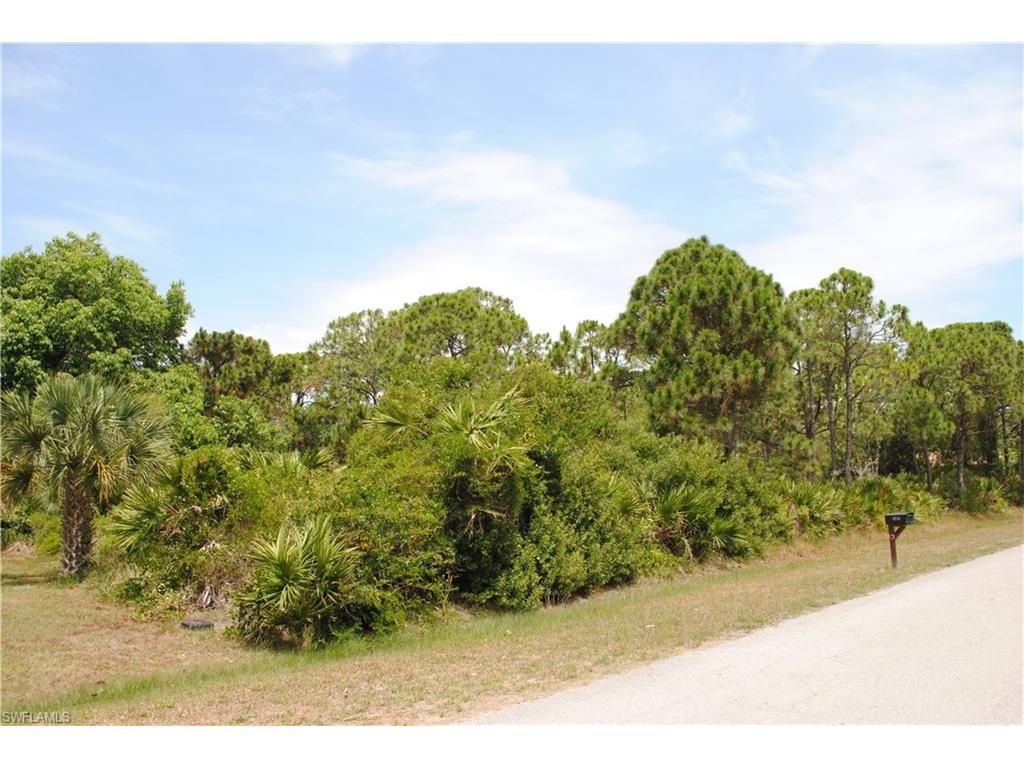 3894 Mango St - Photo 1