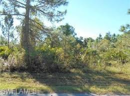 12166 Mcelroy Ave - Photo 1