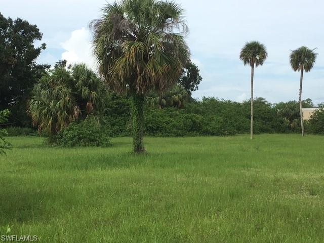Forestry Division Rd - Photo 1