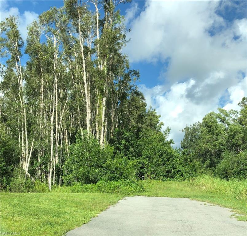 6548 Eagle St - Photo 1