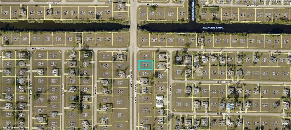 1105/1107 Andalusia Blvd - Photo 1