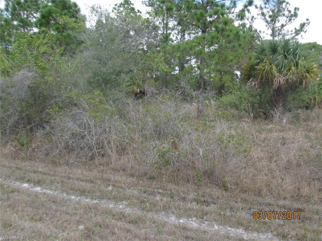 937 Danube St - Photo 1