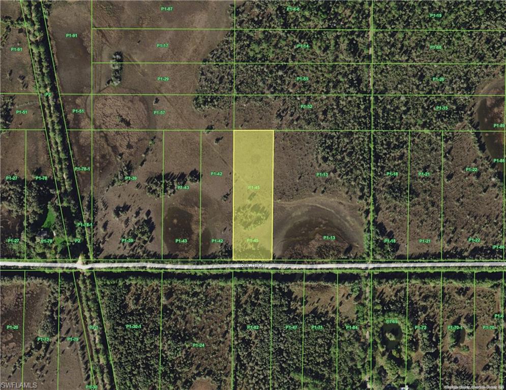 33510 Oil Well Rd - Photo 1