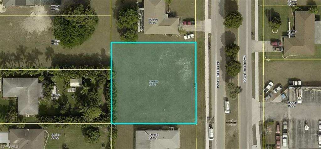3932 Palm Tree Blvd - Photo 1