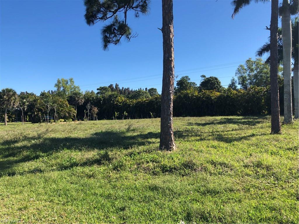 7374 Grande Pine Rd - Photo 1