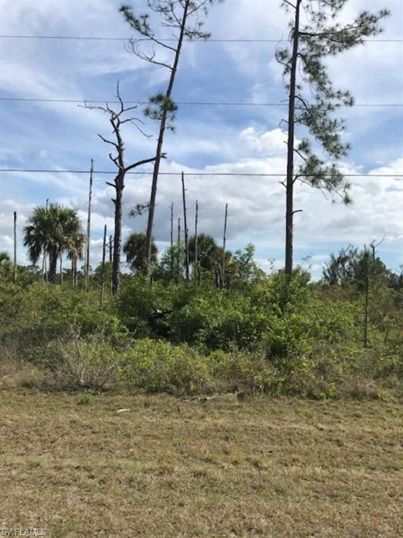 1110 Sentinela Blvd - Photo 1