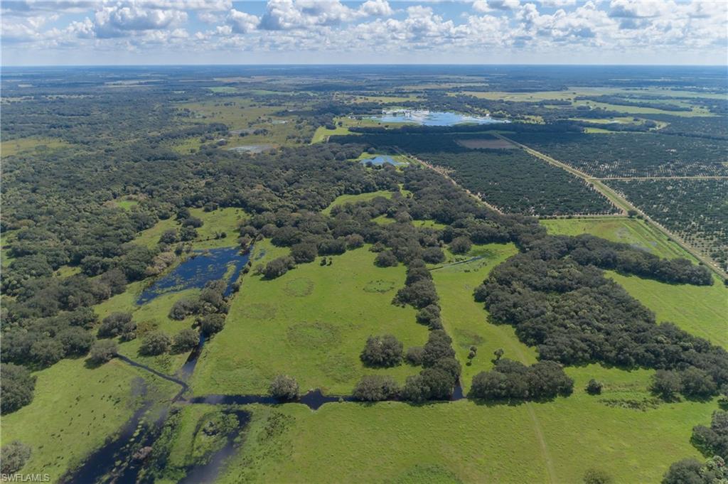 26005 Harrison Rd - Photo 1