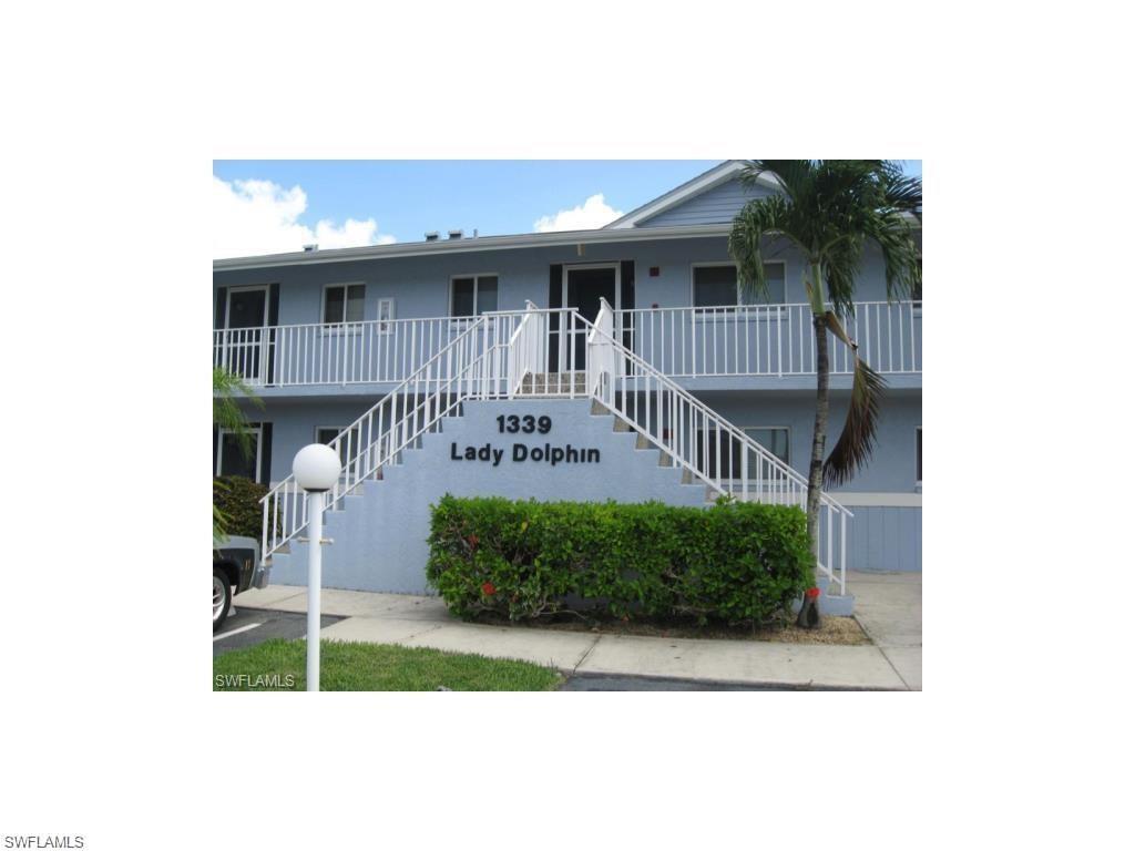 1339 46th Ln - Photo 1
