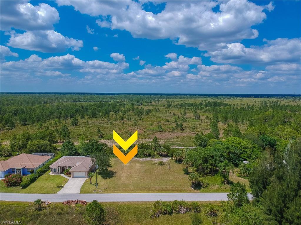 12120 Hernando Rd - Photo 1