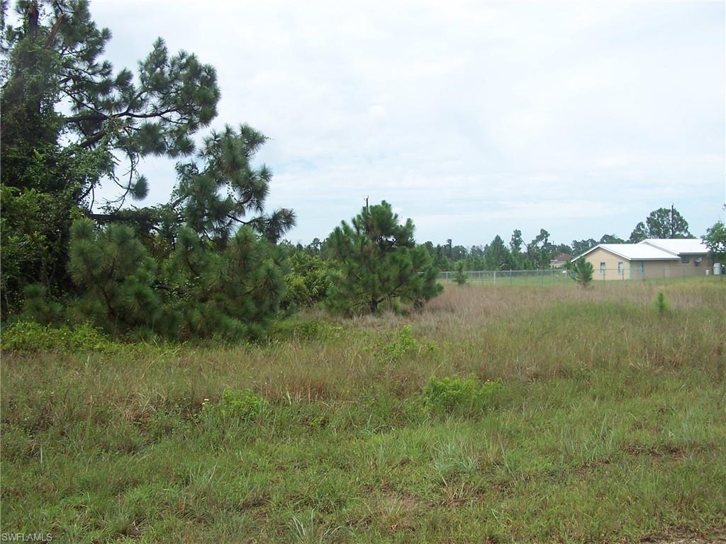 1115 Elegans St - Photo 1