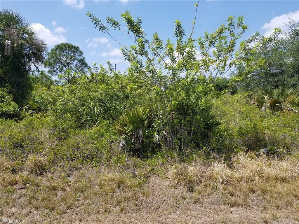 1319 Hibiscus Ave - Photo 1