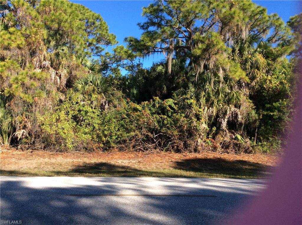 14470 Chamberlain Boulevard - Photo 1 14470 Chamberlain Boulevard - Photo 1