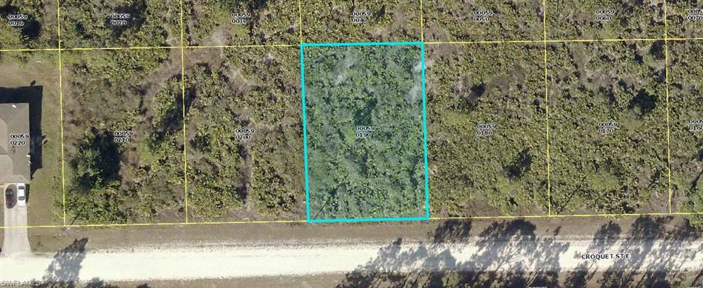 1113 Croquet Street - Photo 1 1113 Croquet Street - Photo 1