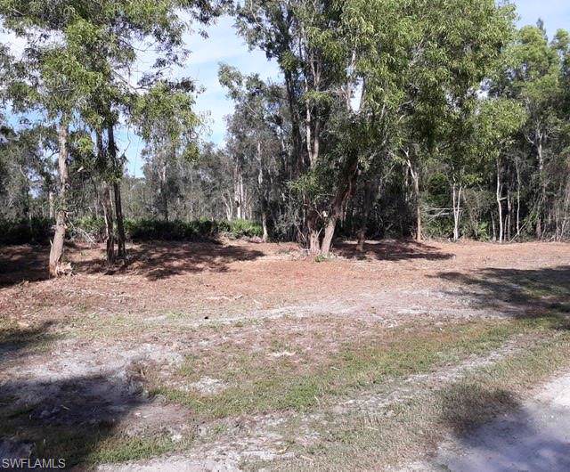 6322 Cedelia Road - Photo 1 6322 Cedelia Road - Photo 1