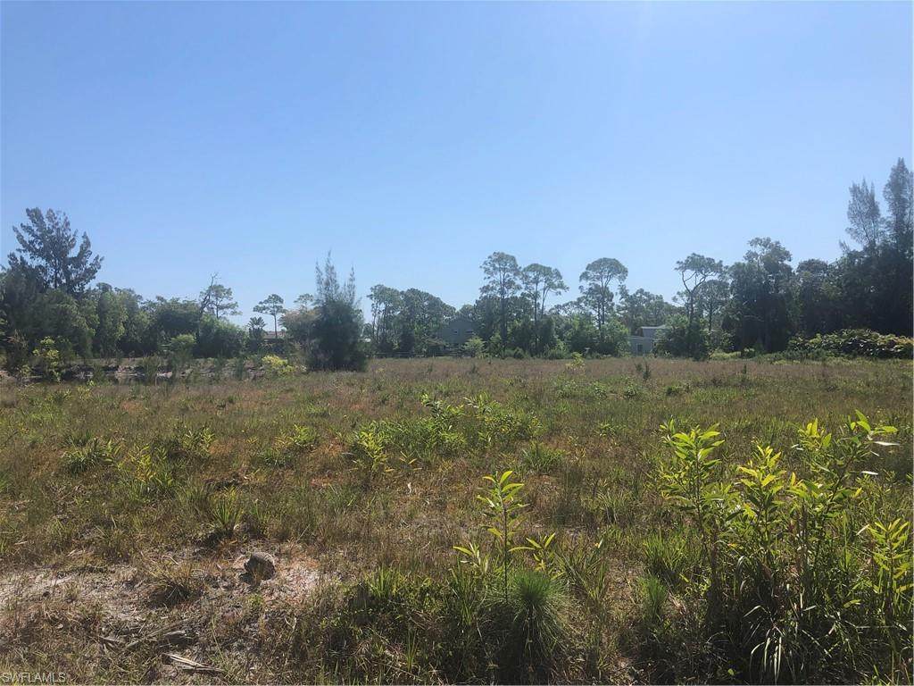 8642 Evergreen Lane - Photo 1