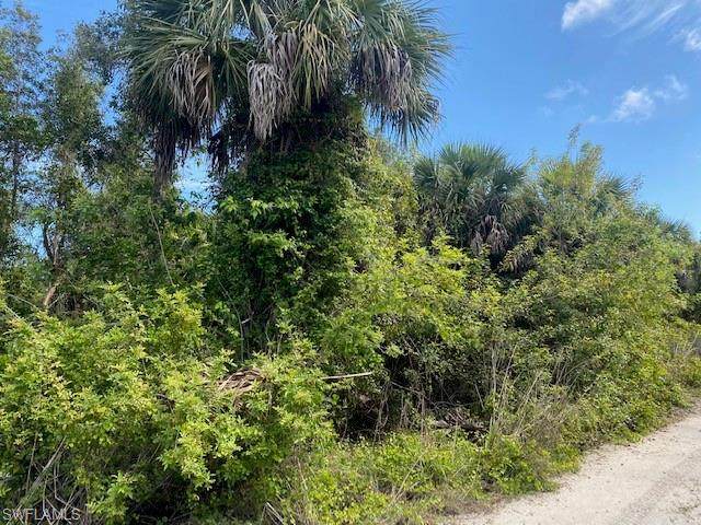 6670 Avalon Lane - Photo 1