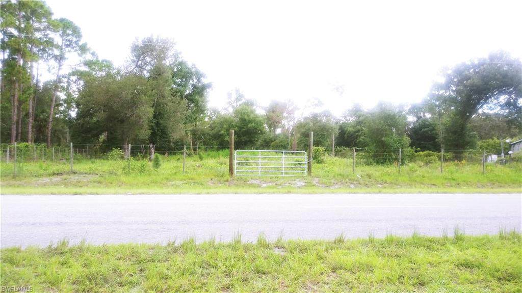 469 Appaloosa Avenue - Photo 1