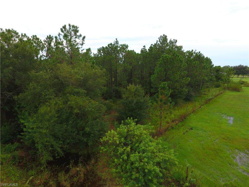 8495 Sweden Boulevard - Photo 1