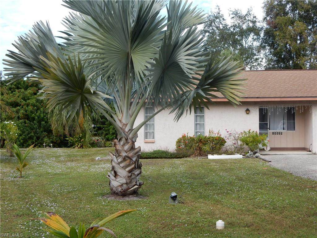 15525 Kapok Court - Photo 1