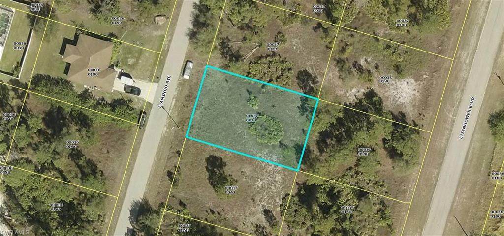 539 Flamingo Avenue - Photo 1