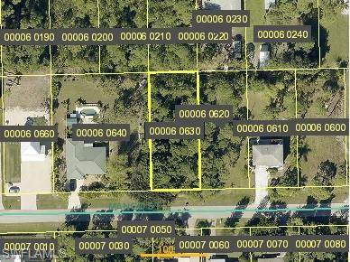 3776 Mango Street - Photo 1