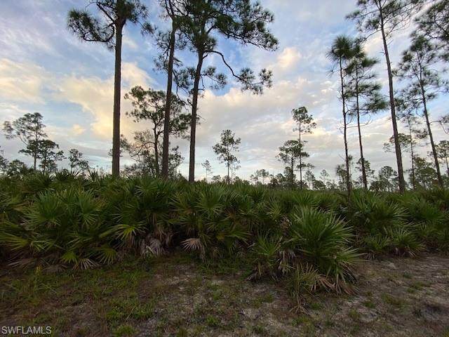2400 State Road 31 - Photo 1