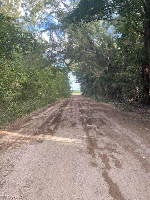 940 Ridge Road - Photo 1