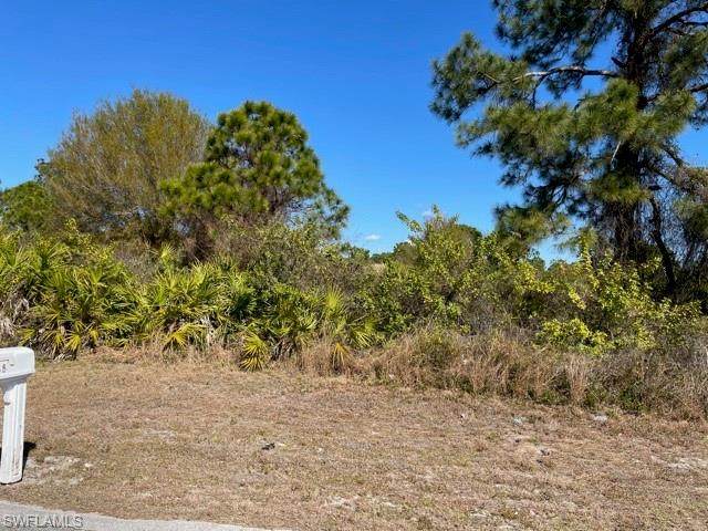 839 Carbon Street - Photo 1