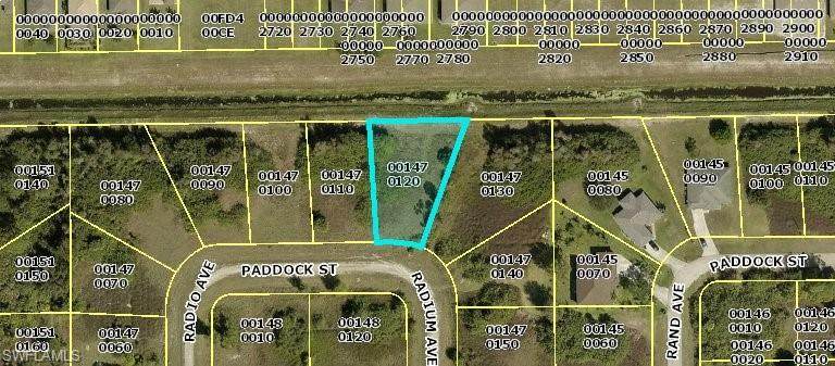 435 Paddock Street - Photo 1
