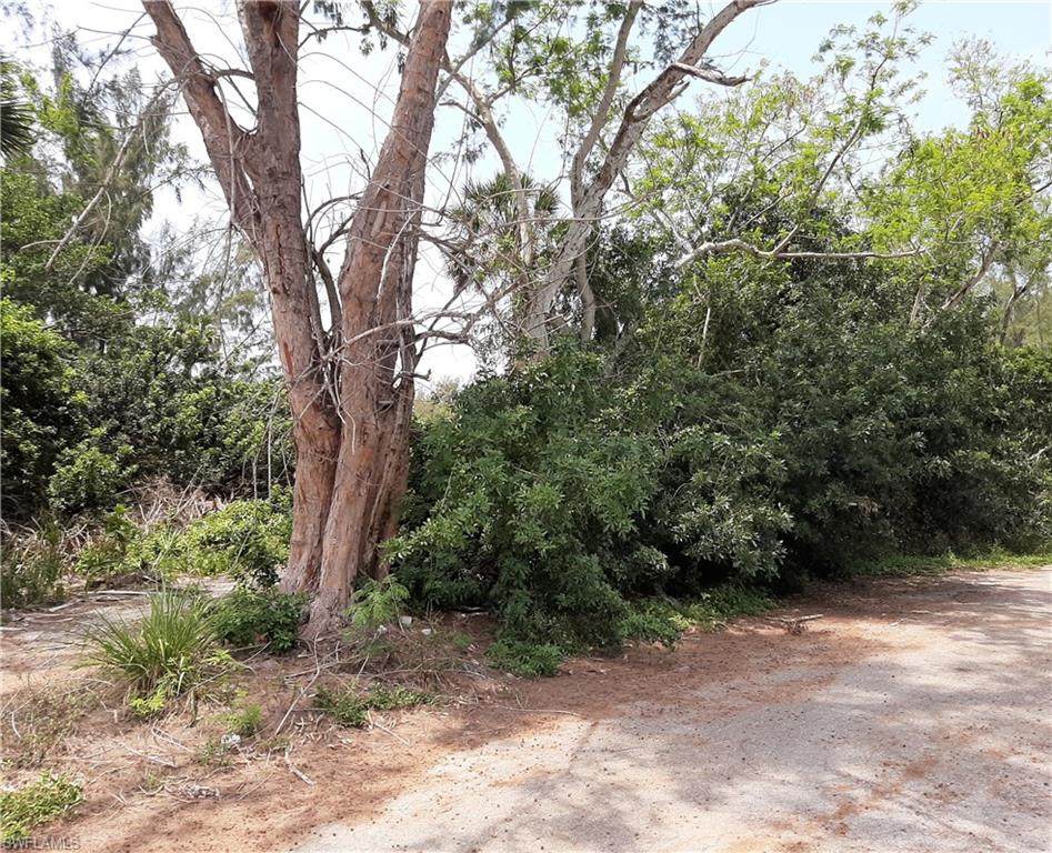 14501 Tamarac Drive - Photo 1