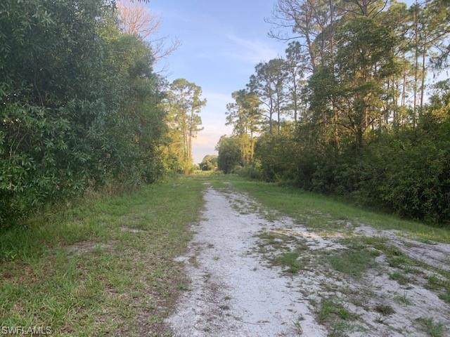 830 Orange Street - Photo 1