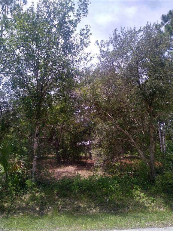 28183 Tristan Drive - Photo 1