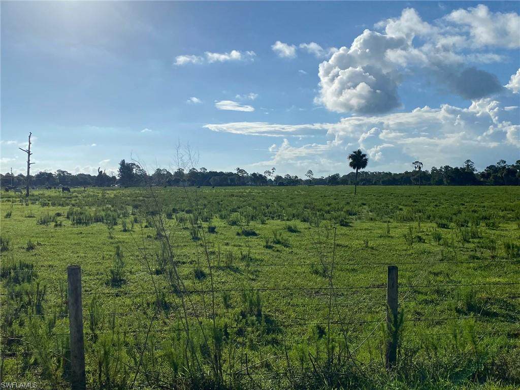 5251 Dana Road - Photo 1