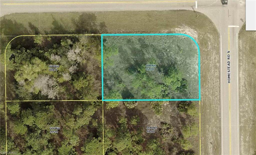 802 Homestead Road - Photo 1