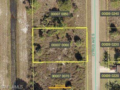 916 Citrus Avenue - Photo 1