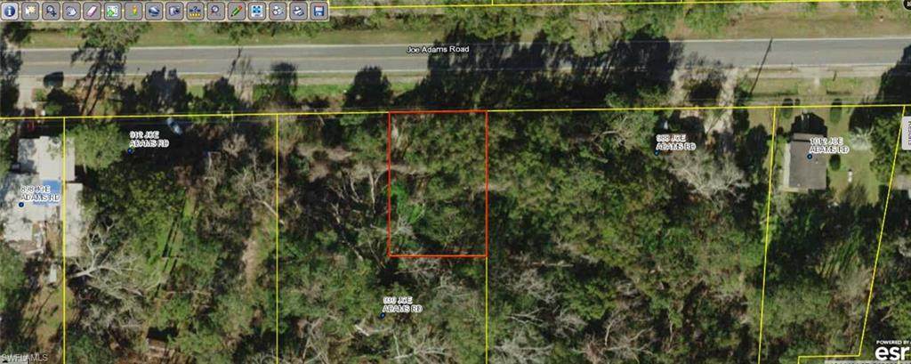 Joe Adams Road - Photo 1