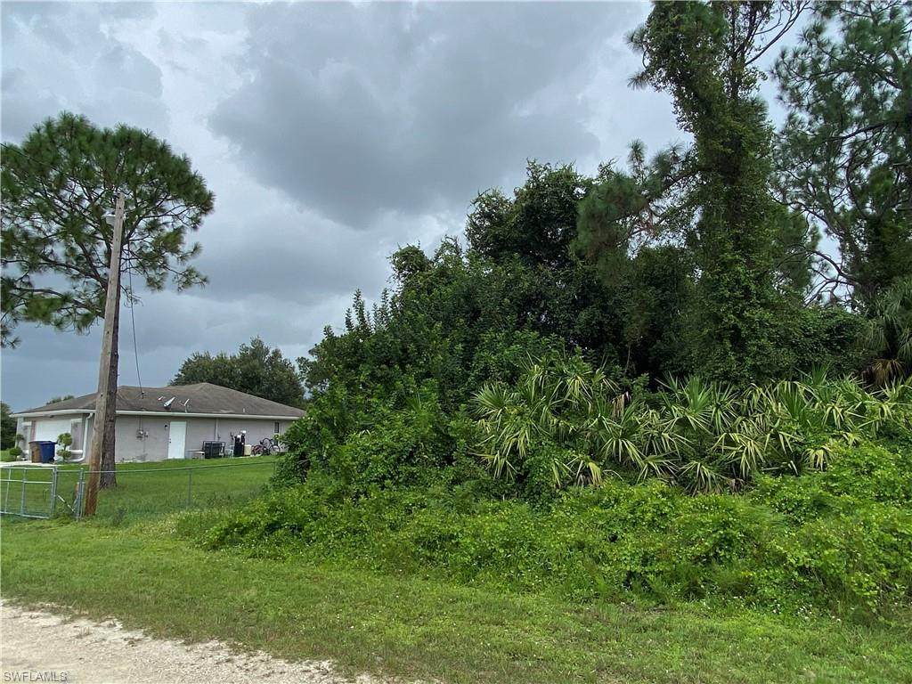 1029 Iris Street - Photo 1