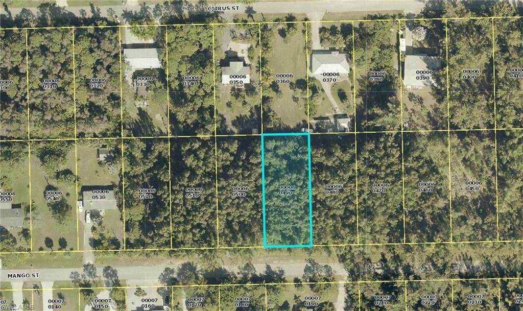 3552 Mango Street - Photo 1