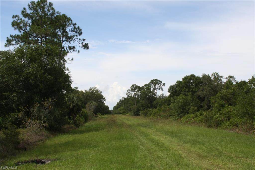 525 Jasmine Street - Photo 1