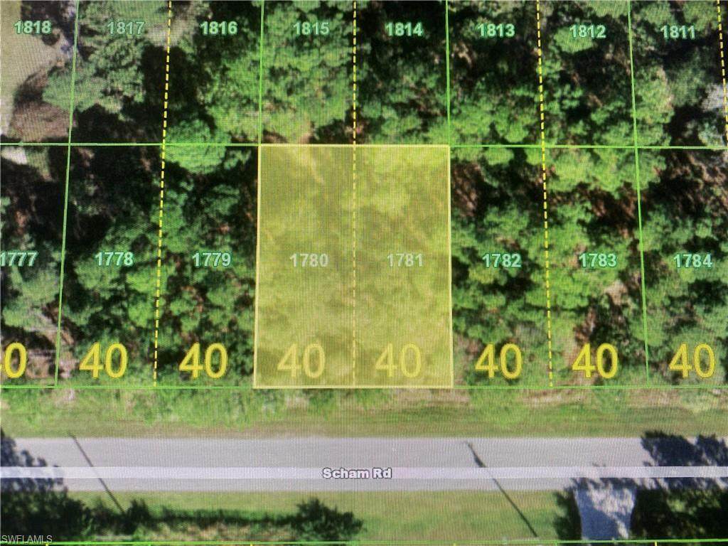 26450 Scham Road - Photo 1