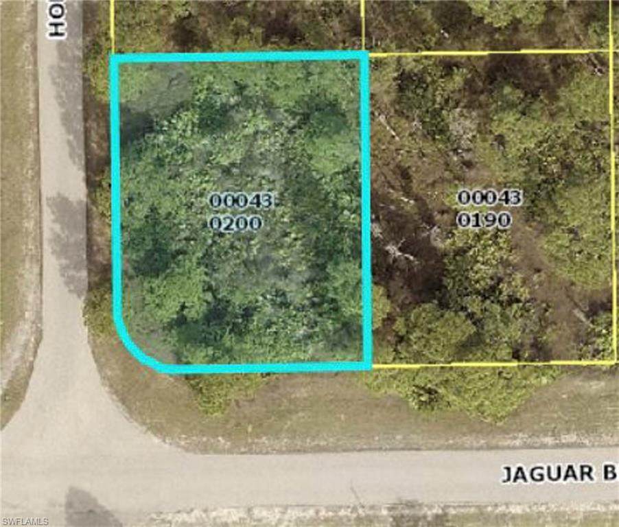 1009 Jaguar Boulevard - Photo 1
